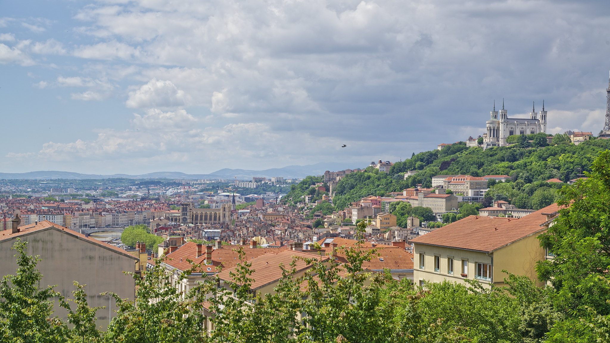 RLPi de la Métropole de Lyon : quand le juge fragilise la capacité des collectivités à transformer leur paysage